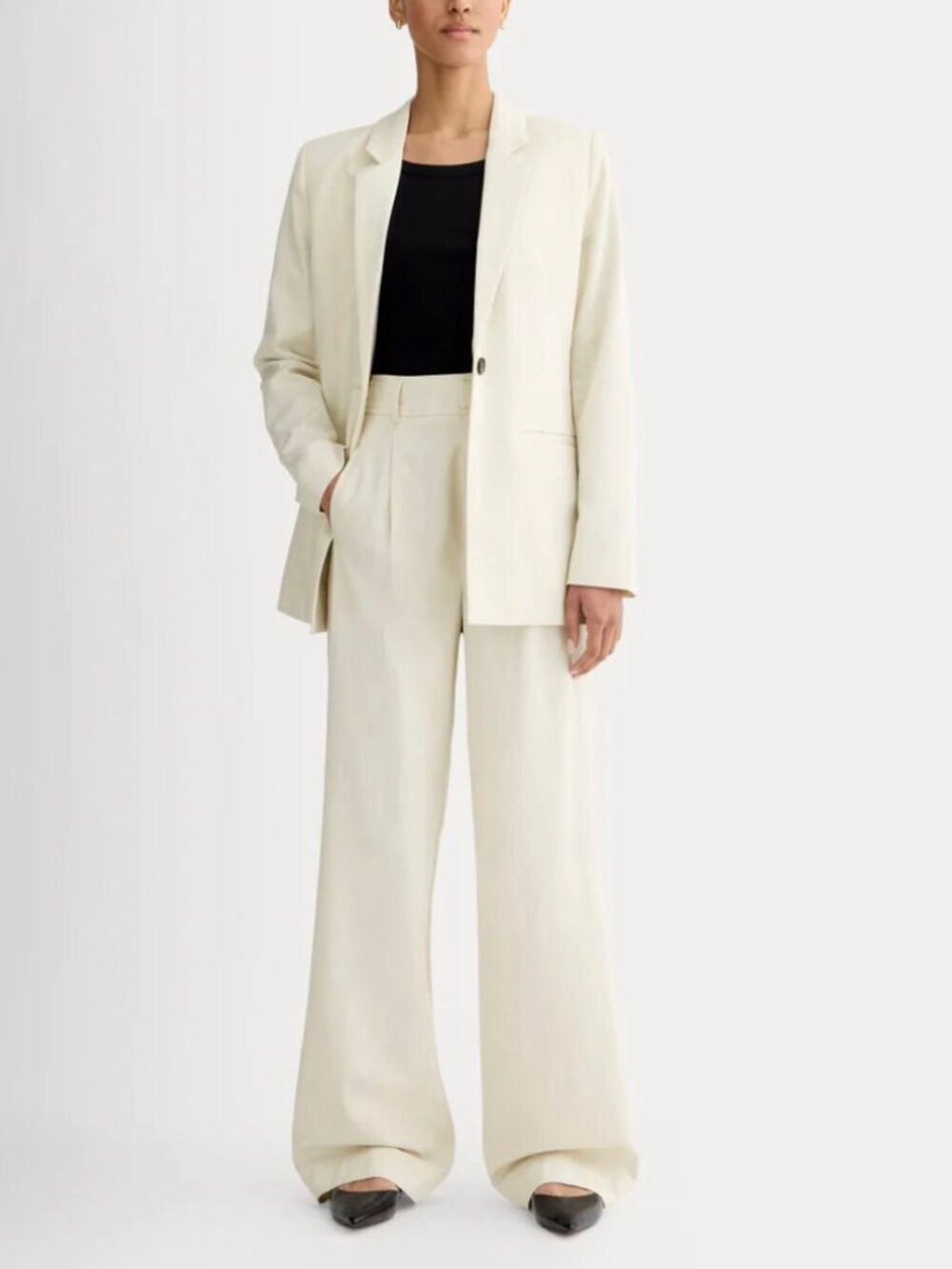 Everlane The Draper Pleated Pants OS